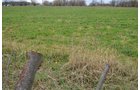 Property photo 29 - 80 Acres & Home - Property Offered in 4 Tracts from 2.3 to 30.0 Acres